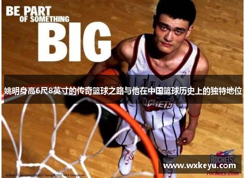 姚明身高6尺8英寸的传奇篮球之路与他在中国篮球历史上的独特地位