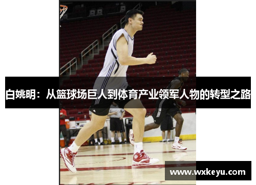 白姚明：从篮球场巨人到体育产业领军人物的转型之路