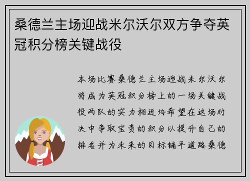 桑德兰主场迎战米尔沃尔双方争夺英冠积分榜关键战役